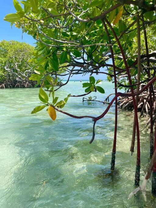 Apartmán Les Pieds Dans L'Eau Chez Syl Le Moule Exteriér fotografie