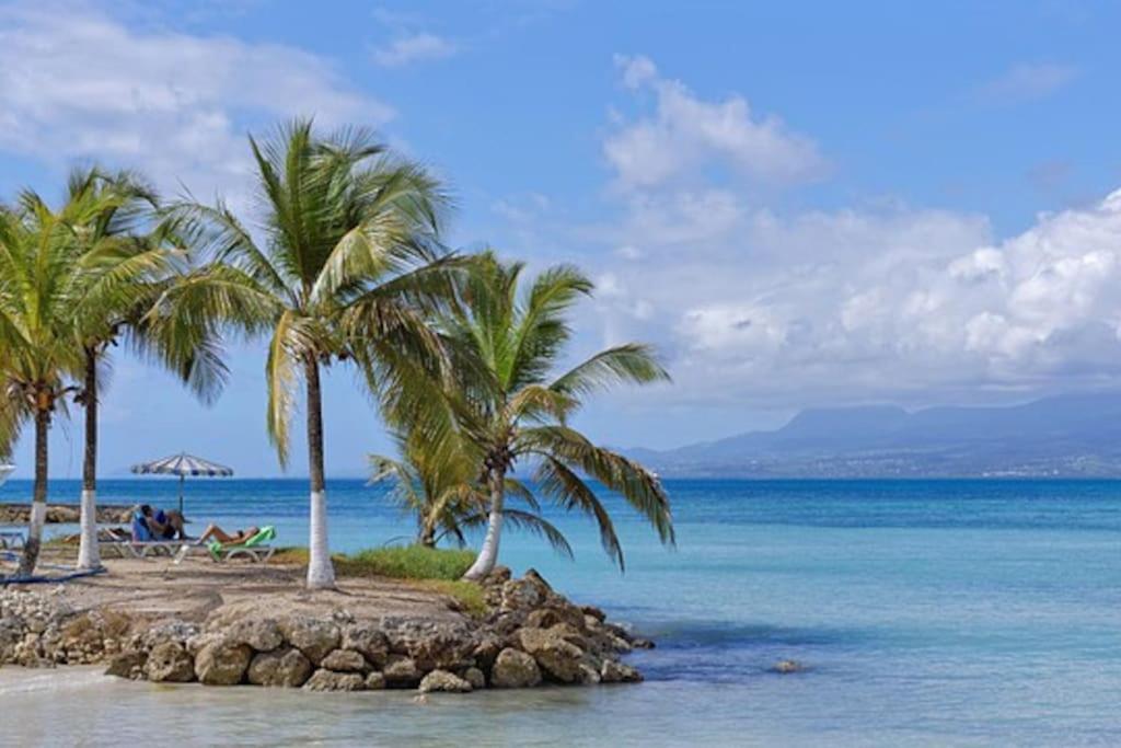 Apartmán Les Pieds Dans L'Eau Chez Syl Le Moule Exteriér fotografie