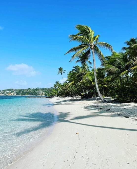 Apartmán Les Pieds Dans L'Eau Chez Syl Le Moule Exteriér fotografie