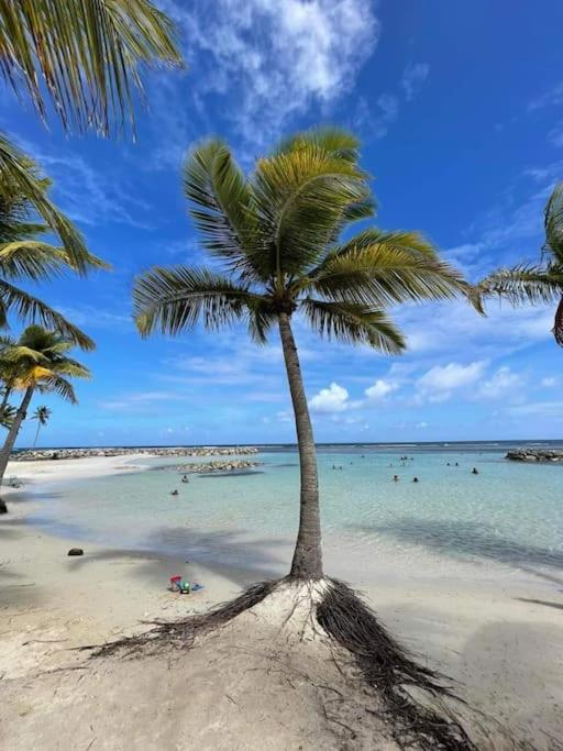 Apartmán Les Pieds Dans L'Eau Chez Syl Le Moule Exteriér fotografie