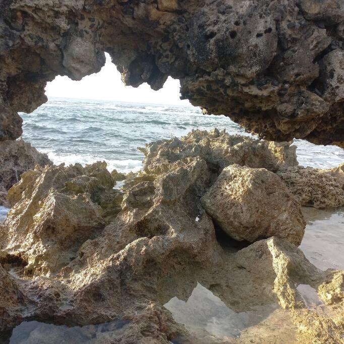 Apartmán Les Pieds Dans L'Eau Chez Syl Le Moule Exteriér fotografie