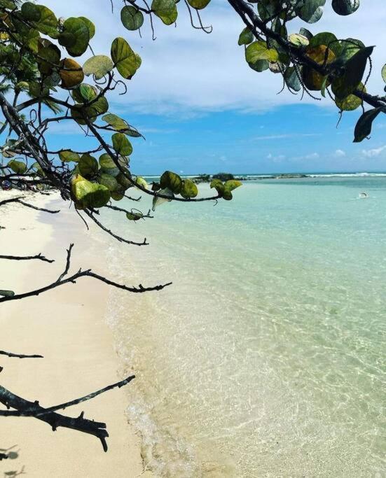 Apartmán Les Pieds Dans L'Eau Chez Syl Le Moule Exteriér fotografie